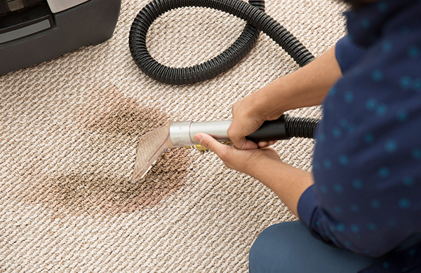costo de lavado de alfombras